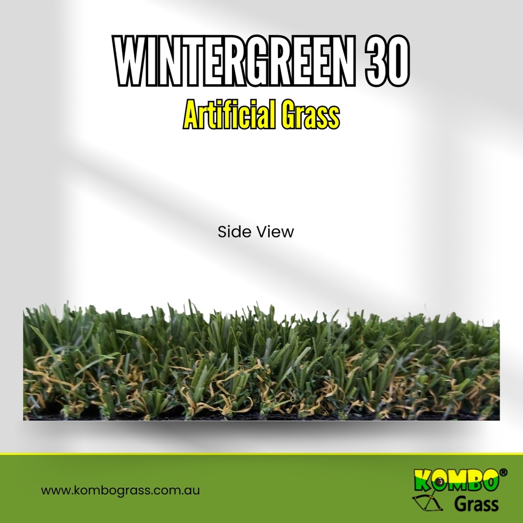Wintergreen 30 side view