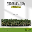 Wintergreen 30 side view