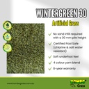 Wintergreen 30